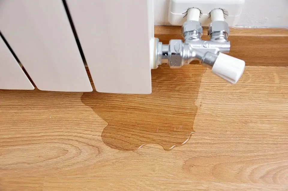 Water Leak Detection & Repair